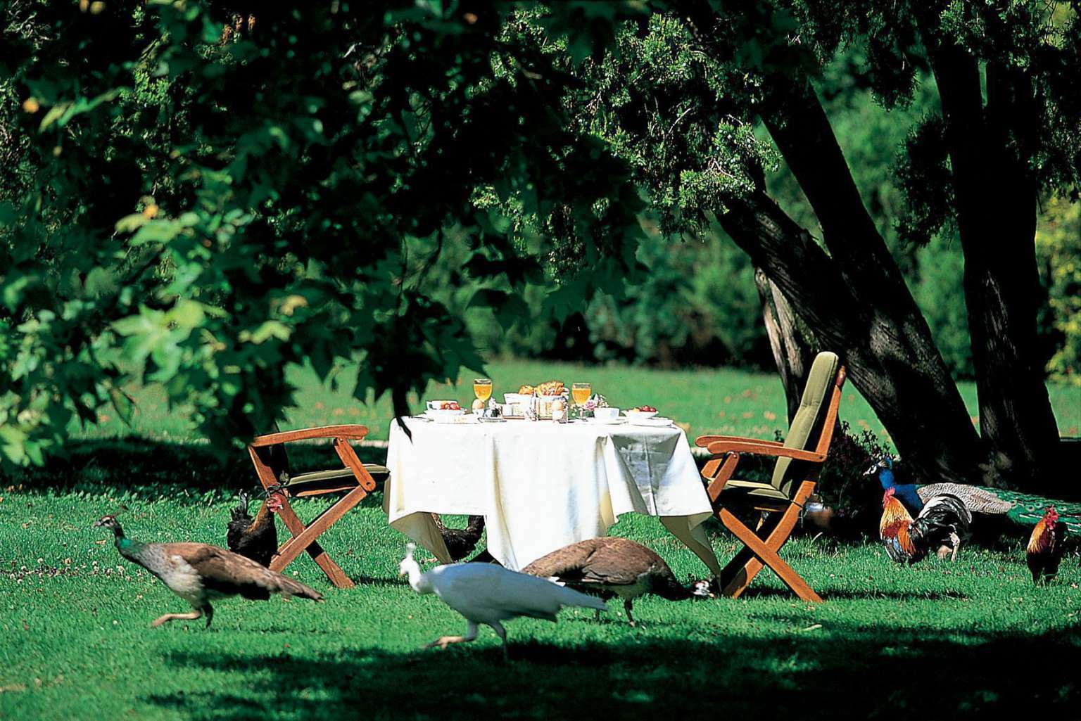 Chateau De De Lugny Hotel 5*